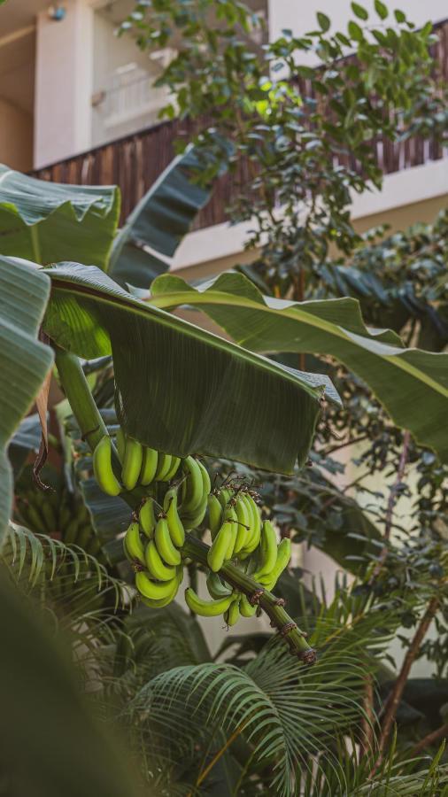 Ophelia Tulum Hotel エクステリア 写真